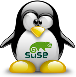 penguin pingouin pinguino 934